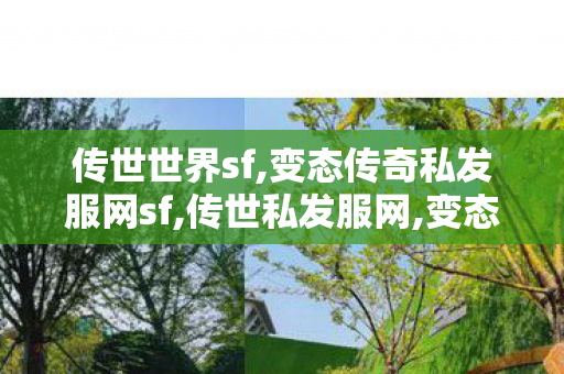 传世世界sf,变态传奇私发服网sf,传世私发服网,变态传奇私发服网sf