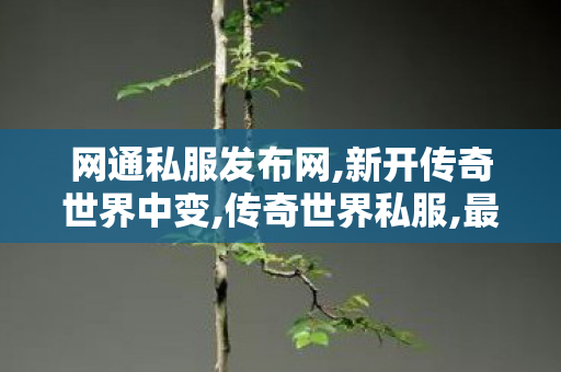 网通私服发布网,新开传奇世界中变,传奇世界私服,最新传奇世界sf,新开传奇世界中变
