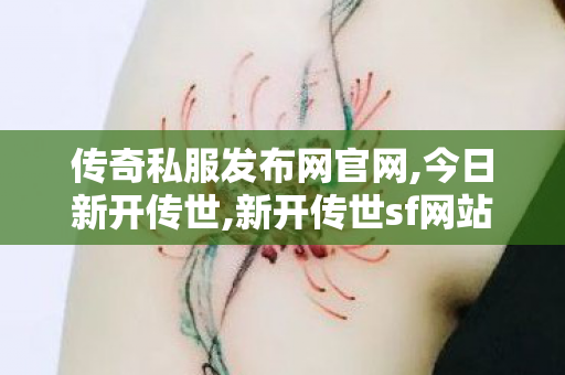 传奇私服发布网官网,今日新开传世,新开传世sf网站,今日新开传世