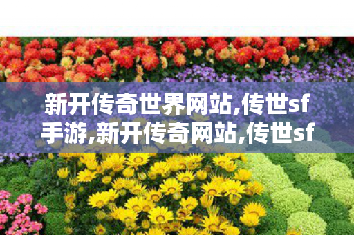 新开传奇世界网站,传世sf手游,新开传奇网站,传世sf手游