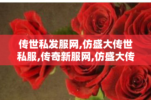 传世私发服网,仿盛大传世私服,传奇新服网,仿盛大传世私服