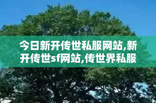 今日新开传世私服网站,新开传世sf网站,传世界私服发布网,新开传世sf网站