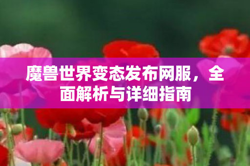 魔兽世界变态发布网服，全面解析与详细指南