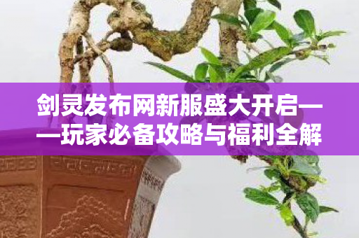剑灵发布网新服盛大开启——玩家必备攻略与福利全解析