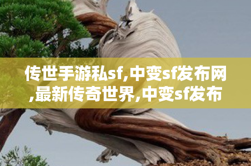 传世手游私sf,中变sf发布网,最新传奇世界,中变sf发布网