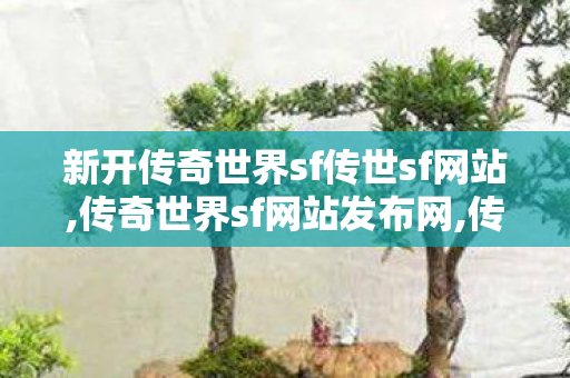 新开传奇世界sf传世sf网站,传奇世界sf网站发布网,传奇世界发布网站,传奇世界sf网站发布网