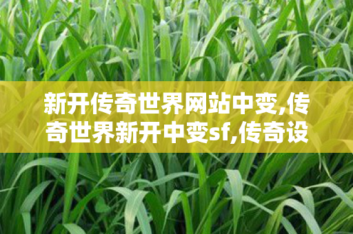 新开传奇世界网站中变,传奇世界新开中变sf,传奇设计界私服,传奇世界新开中变sf