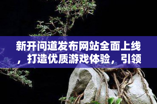 新开问道发布网站全面上线，打造优质游戏体验，引领游戏行业新风尚