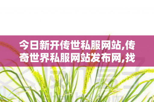 今日新开传世私服网站,传奇世界私服网站发布网,找传世,传奇世界私服网站发布网