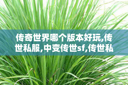 传奇世界哪个版本好玩,传世私服,中变传世sf,传世私服