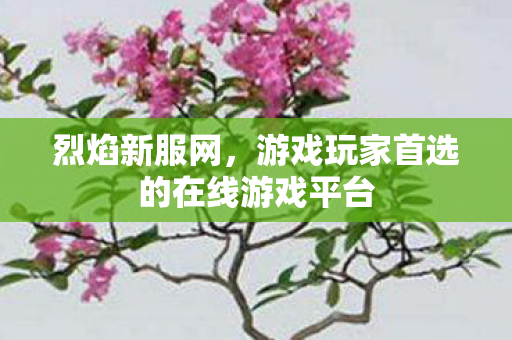 烈焰新服网，游戏玩家首选的在线游戏平台