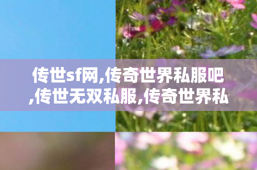 传世sf网,传奇世界私服吧,传世无双私服,传奇世界私服吧