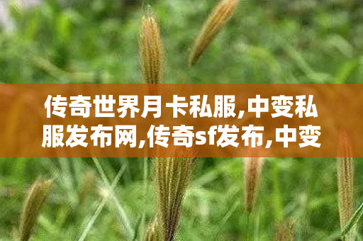 传奇世界月卡私服,中变私服发布网,传奇sf发布,中变私服发布网