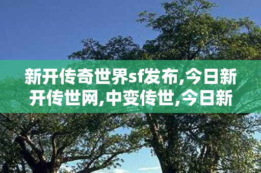 新开传奇世界sf发布,今日新开传世网,中变传世,今日新开传世网