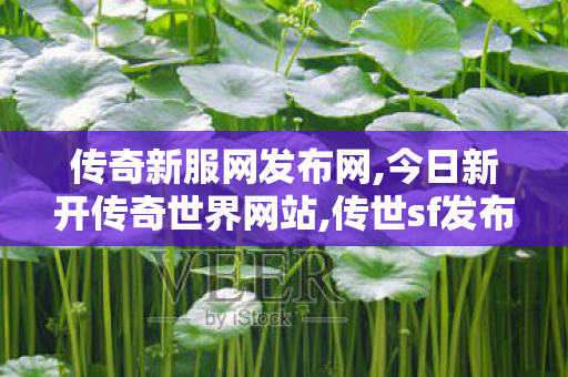 传奇新服网发布网,今日新开传奇世界网站,传世sf发布网新服,今日新开传奇世界网站