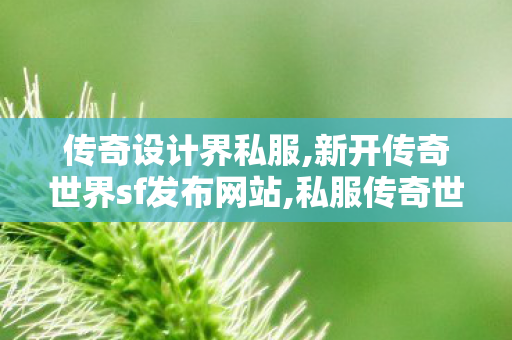 传奇设计界私服,新开传奇世界sf发布网站,私服传奇世界,新开传奇世界sf发布网站