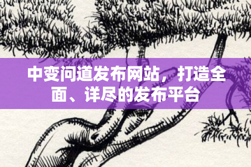中变问道发布网站，打造全面、详尽的发布平台
