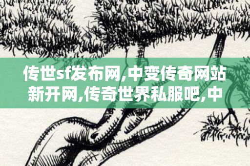 传世sf发布网,中变传奇网站新开网,传奇世界私服吧,中变传奇网站新开网