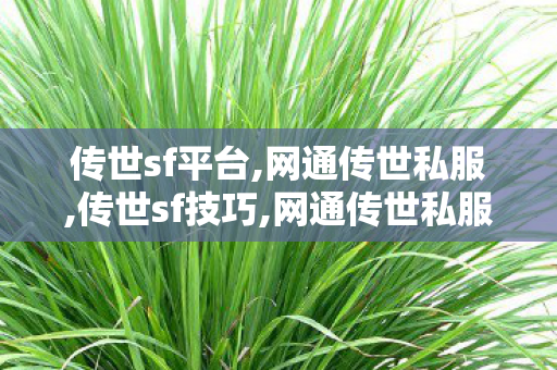 传世sf平台,网通传世私服,传世sf技巧,网通传世私服