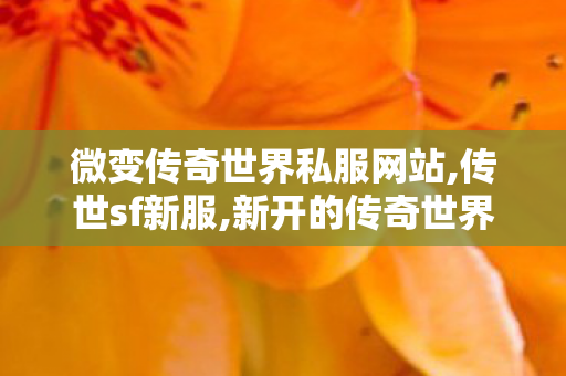 微变传奇世界私服网站,传世sf新服,新开的传奇世界私服,传世sf新服