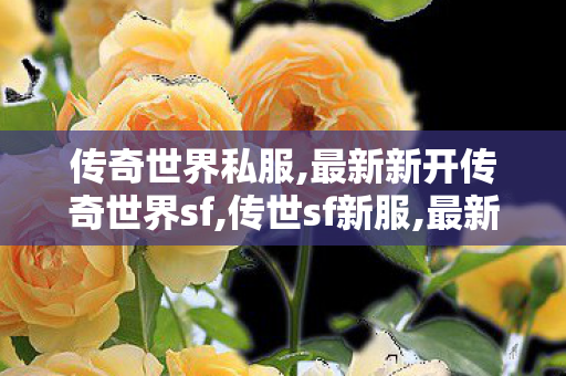 传奇世界私服,最新新开传奇世界sf,传世sf新服,最新新开传奇世界sf