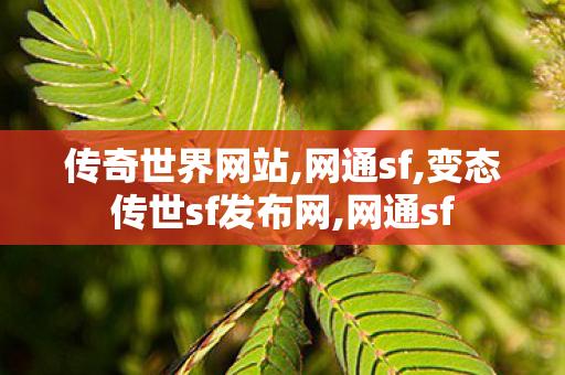 传奇世界网站,网通sf,变态传世sf发布网,网通sf