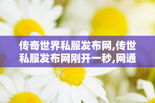 传奇世界私服发布网,传世私服发布网刚开一秒,网通传奇私服发布网,传世私服发布网刚开一秒