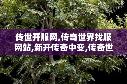 传世开服网,传奇世界找服网站,新开传奇中变,传奇世界找服网站