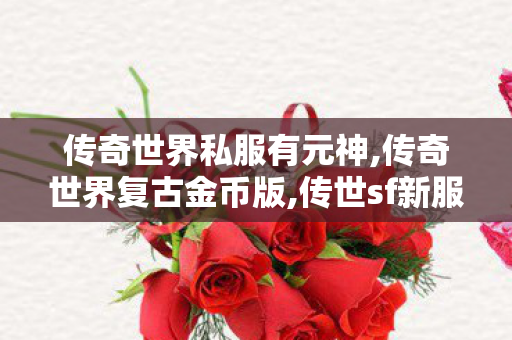 传奇世界私服有元神,传奇世界复古金币版,传世sf新服网发布网,传奇世界复古金币版