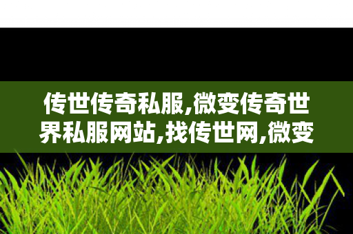 传世传奇私服,微变传奇世界私服网站,找传世网,微变传奇世界私服网站