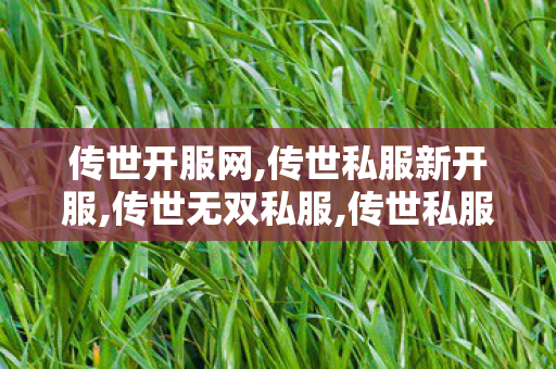 传世开服网,传世私服新开服,传世无双私服,传世私服新开服