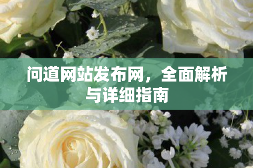 问道网站发布网，全面解析与详细指南