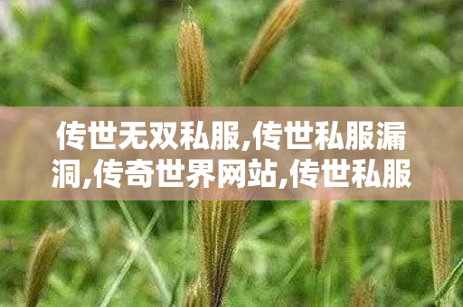 传世无双私服,传世私服漏洞,传奇世界网站,传世私服漏洞