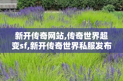 新开传奇网站,传奇世界超变sf,新开传奇世界私服发布网,传奇世界超变sf