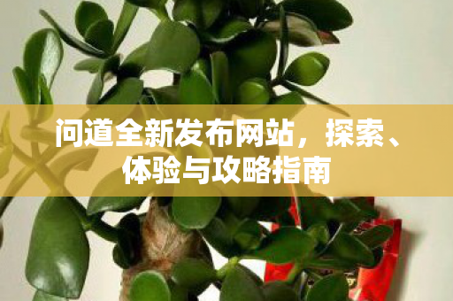 问道全新发布网站，探索、体验与攻略指南