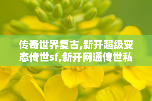传奇世界复古,新开超级变态传世sf,新开网通传世私服,新开超级变态传世sf