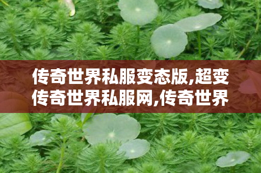 传奇世界私服变态版,超变传奇世界私服网,传奇世界sf发布网站,超变传奇世界私服网