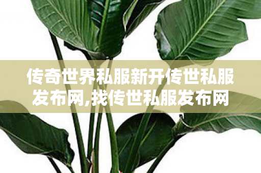 传奇世界私服新开传世私服发布网,找传世私服发布网站,传世sf,找传世私服发布网站
