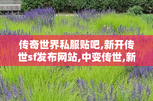 传奇世界私服贴吧,新开传世sf发布网站,中变传世,新开传世sf发布网站