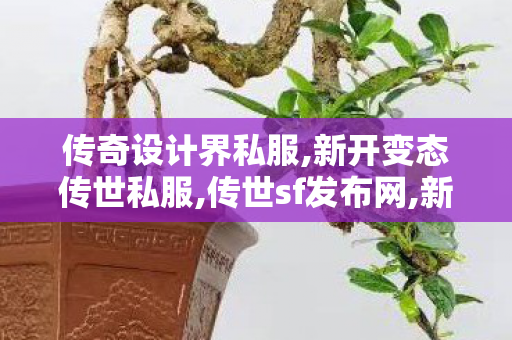 传奇设计界私服,新开变态传世私服,传世sf发布网,新开变态传世私服
