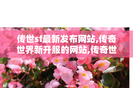 传世sf最新发布网站,传奇世界新开服的网站,传奇世界发布网站,传奇世界新开服的网站