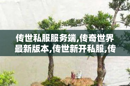 传世私服服务端,传奇世界最新版本,传世新开私服,传奇世界最新版本