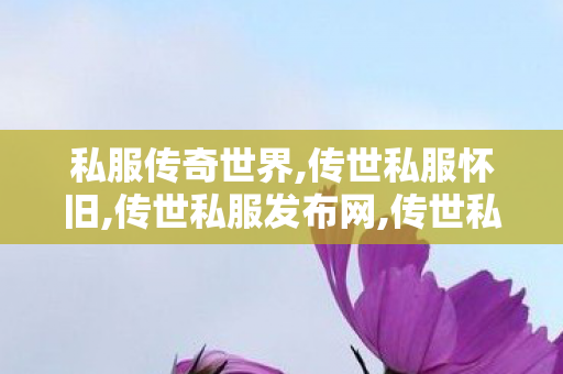 私服传奇世界,传世私服怀旧,传世私服发布网,传世私服怀旧