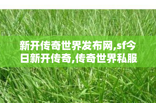 新开传奇世界发布网,sf今日新开传奇,传奇世界私服发布网站,sf今日新开传奇