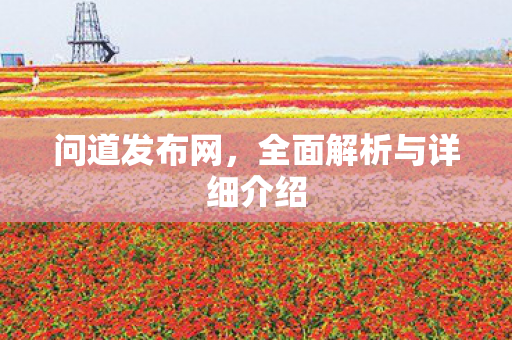 问道发布网，全面解析与详细介绍