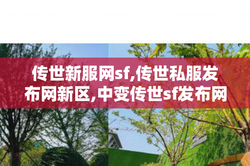 传世新服网sf,传世私服发布网新区,中变传世sf发布网站,传世私服发布网新区