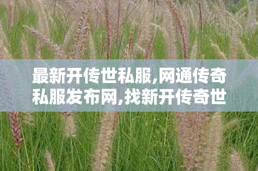 最新开传世私服,网通传奇私服发布网,找新开传奇世界私服,网通传奇私服发布网