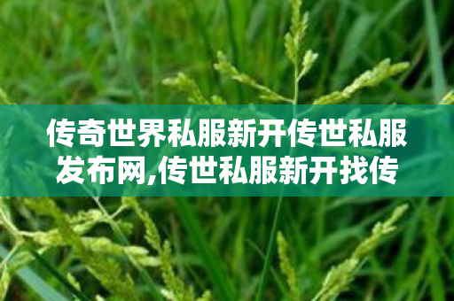 传奇世界私服新开传世私服发布网,传世私服新开找传世网,网通传奇sf发布网,传世私服新开找传世网
