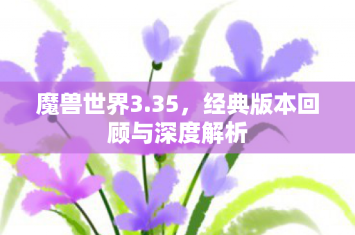 魔兽世界3.35，经典版本回顾与深度解析