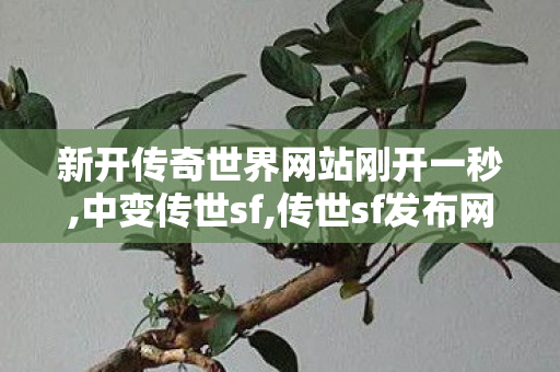 新开传奇世界网站刚开一秒,中变传世sf,传世sf发布网,中变传世sf